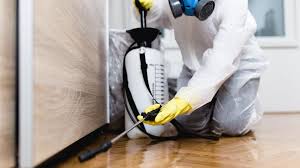 Real Estate Pest Inspections in Candler Mcafee, GA